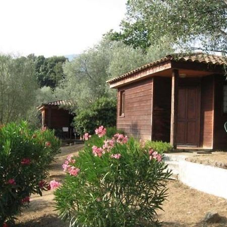 Gites Chalets De Grosseto-Prugna Exterior foto