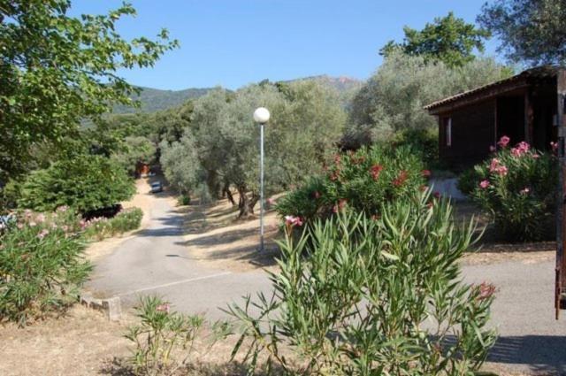 Gites Chalets De Grosseto-Prugna Exterior foto